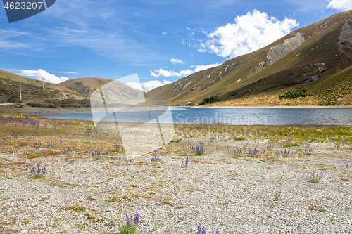 Image of Landscape scenery in south New Zealand