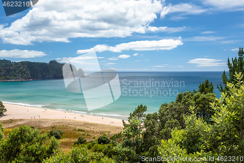 Image of hot springs beach New Zealand Coromandel