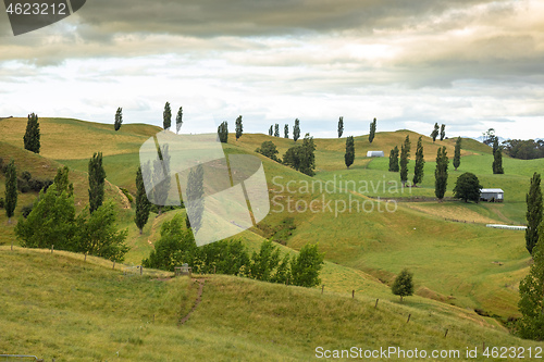 Image of typical rural landscape in New Zealand