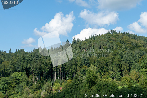 Image of forest hill in south germany