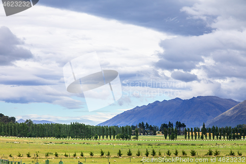 Image of Landscape scenery in south New Zealand
