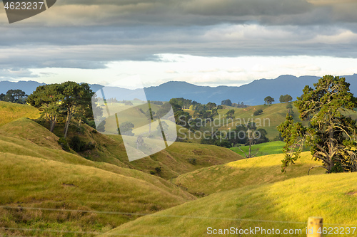 Image of typical rural landscape in New Zealand