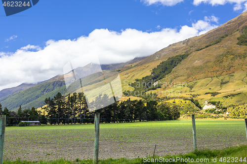 Image of Landscape scenery in south New Zealand
