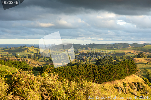 Image of typical rural landscape in New Zealand