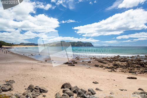 Image of hot springs beach New Zealand Coromandel