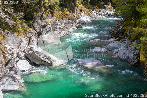 Image of Haast River Landsborough Valley New Zealand