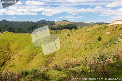 Image of typical rural landscape in New Zealand