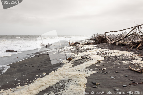 Image of jade beach Hokitika, New Zealand