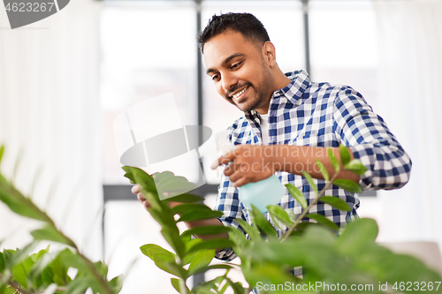 Image of indian man spraying houseplant with water at home