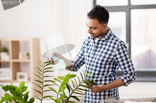 Image of indian man spraying houseplant with water at home