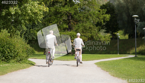 Image of senior couple riding bicycles at summer park