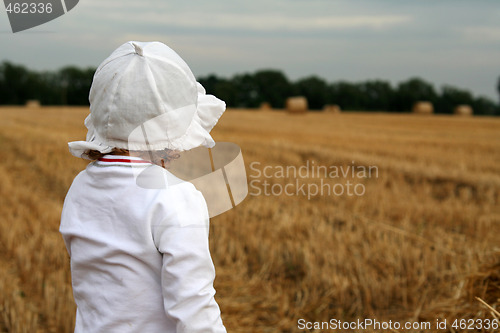 Image of After harvest