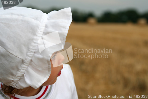 Image of After harvest