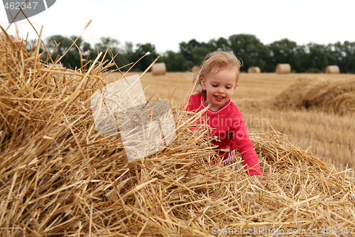 Image of After harvest