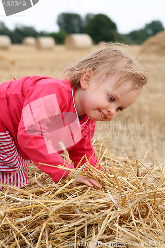 Image of After harvest