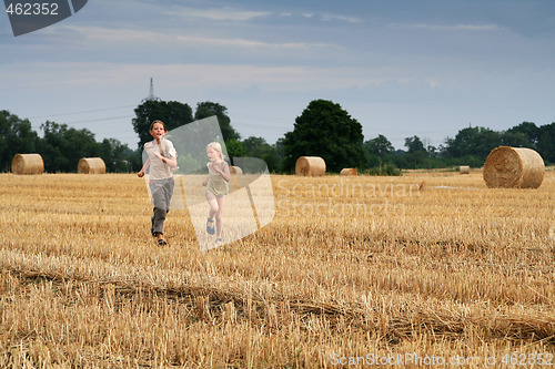 Image of After harvest