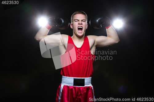 Image of Young boxer in red form