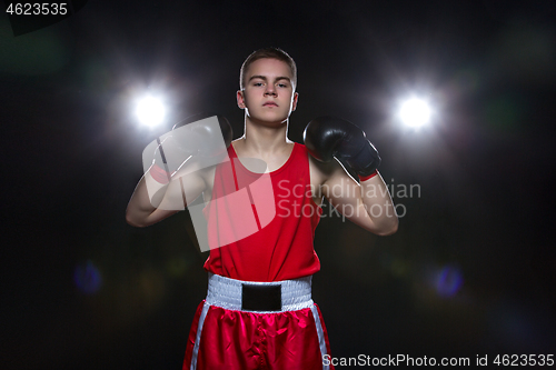 Image of Young boxer in red form