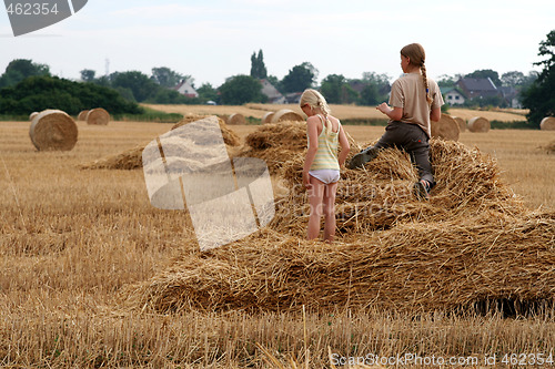 Image of After harvest