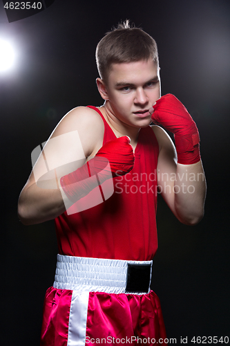 Image of Young boxer in red form