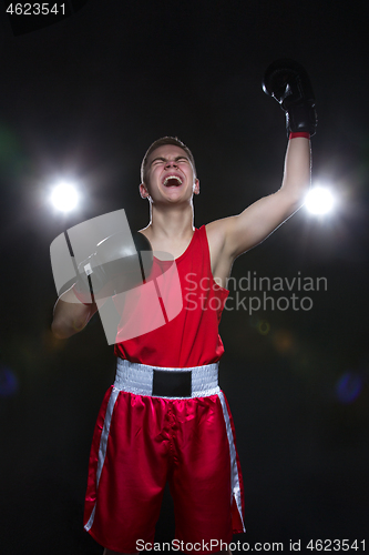 Image of Young boxer in red form