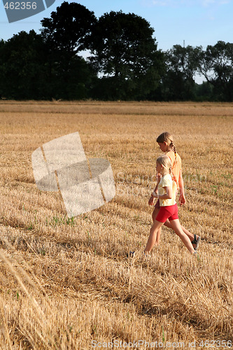 Image of After harvest