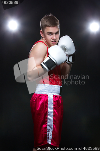 Image of Young boxer in red form