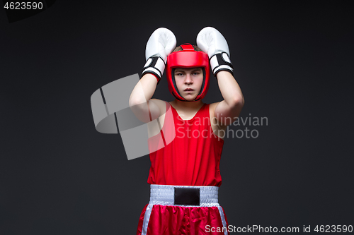 Image of Young boxer in red form