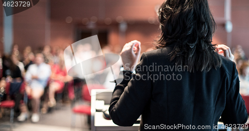 Image of Public speaker giving talk at Business Event.