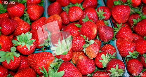 Image of Strawberries