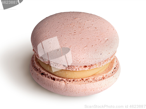 Image of One beige macaroon angled view