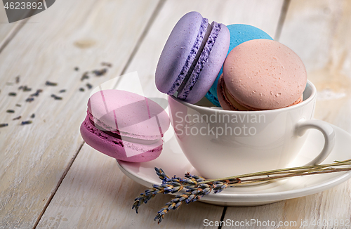 Image of Macaroons in cup with lavender on saucer