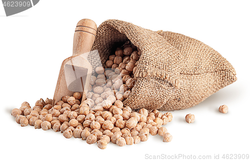 Image of Chickpea spill out of sack and scoop