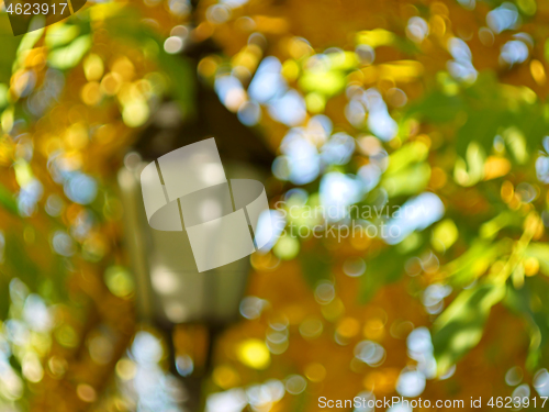 Image of Blurry bokeh artwork with lantern in green and yellow maple autu