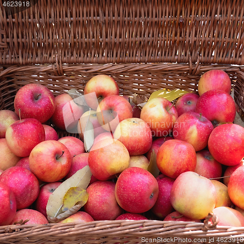 Image of Red apples in a wicker wooden basket in autumn