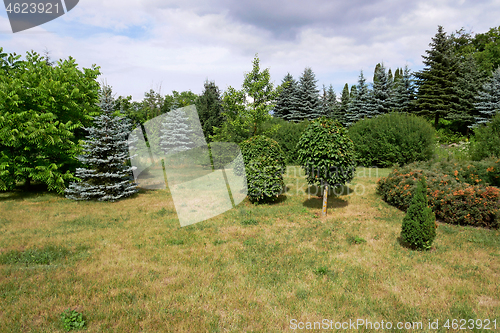 Image of Picturesque lawn in summer park