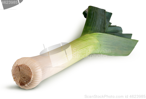 Image of Fresh green leek in perspective