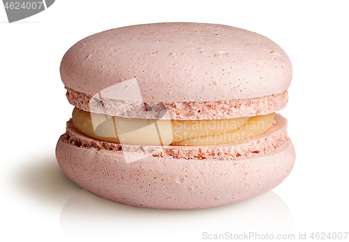 Image of One beige macaroon front view