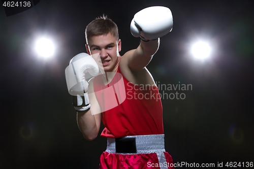 Image of Young boxer in red form