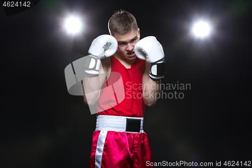 Image of Young boxer in red form