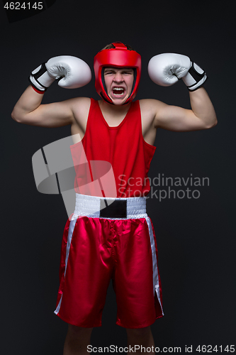 Image of Young boxer winner