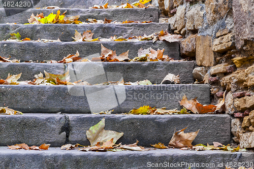 Image of Stairs with Autumn Leaves