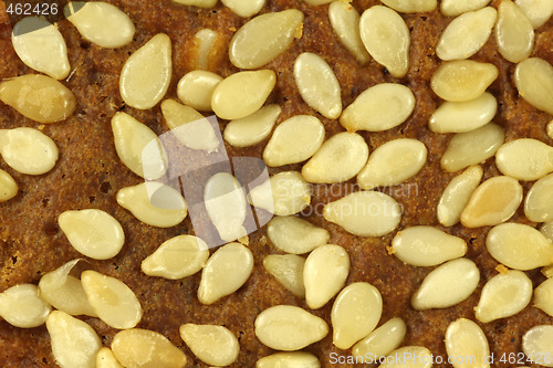 Image of Sesame on bread