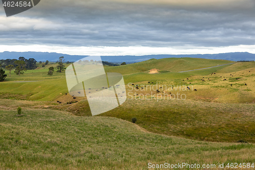 Image of typical rural landscape in New Zealand