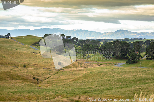 Image of typical rural landscape in New Zealand