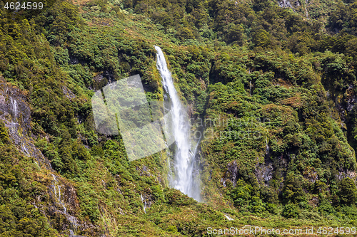 Image of Fiordland National Park New Zealand