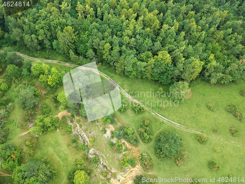 Image of aerial view trees