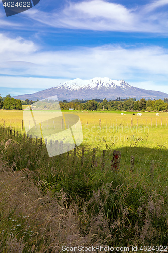 Image of Mount Ruapehu volcano in New Zealand