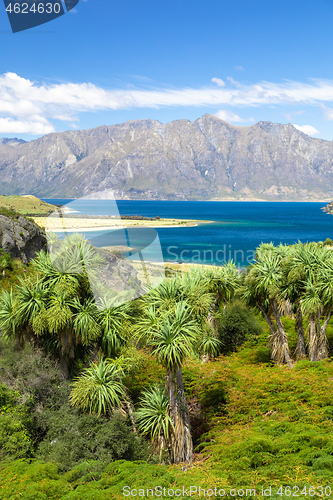 Image of lake Wanaka; New Zealand south island