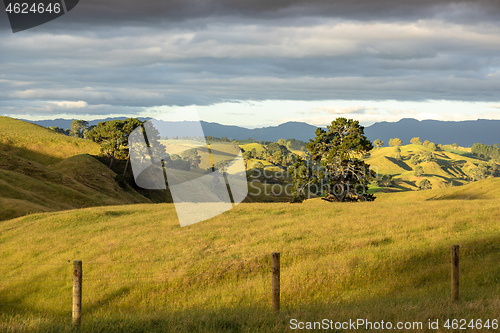 Image of typical rural landscape in New Zealand